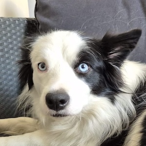 Mia